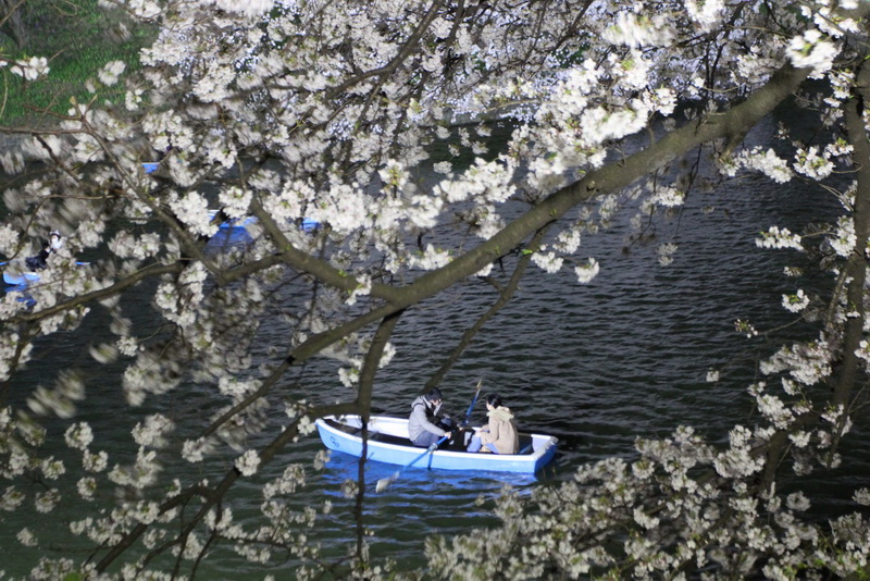 關東賞櫻百選美食溫泉花見8天悠遊行-Day1