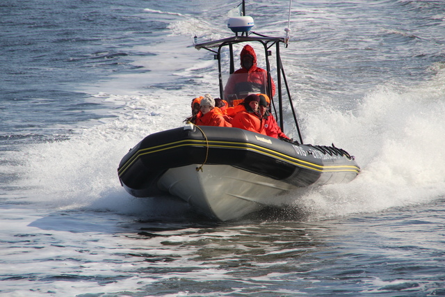 加東楓葉絕美祕境之旅-Day8【河中賞鯨&魁北克舊城】