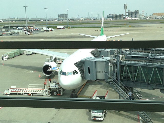 東京櫻花迪士尼溫泉親子遊Day 10【歸家】