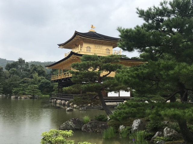 Day3：三大茅葺屋聚落【美山町】、京都世界遺產巡禮【鹿苑寺、龍安寺】
