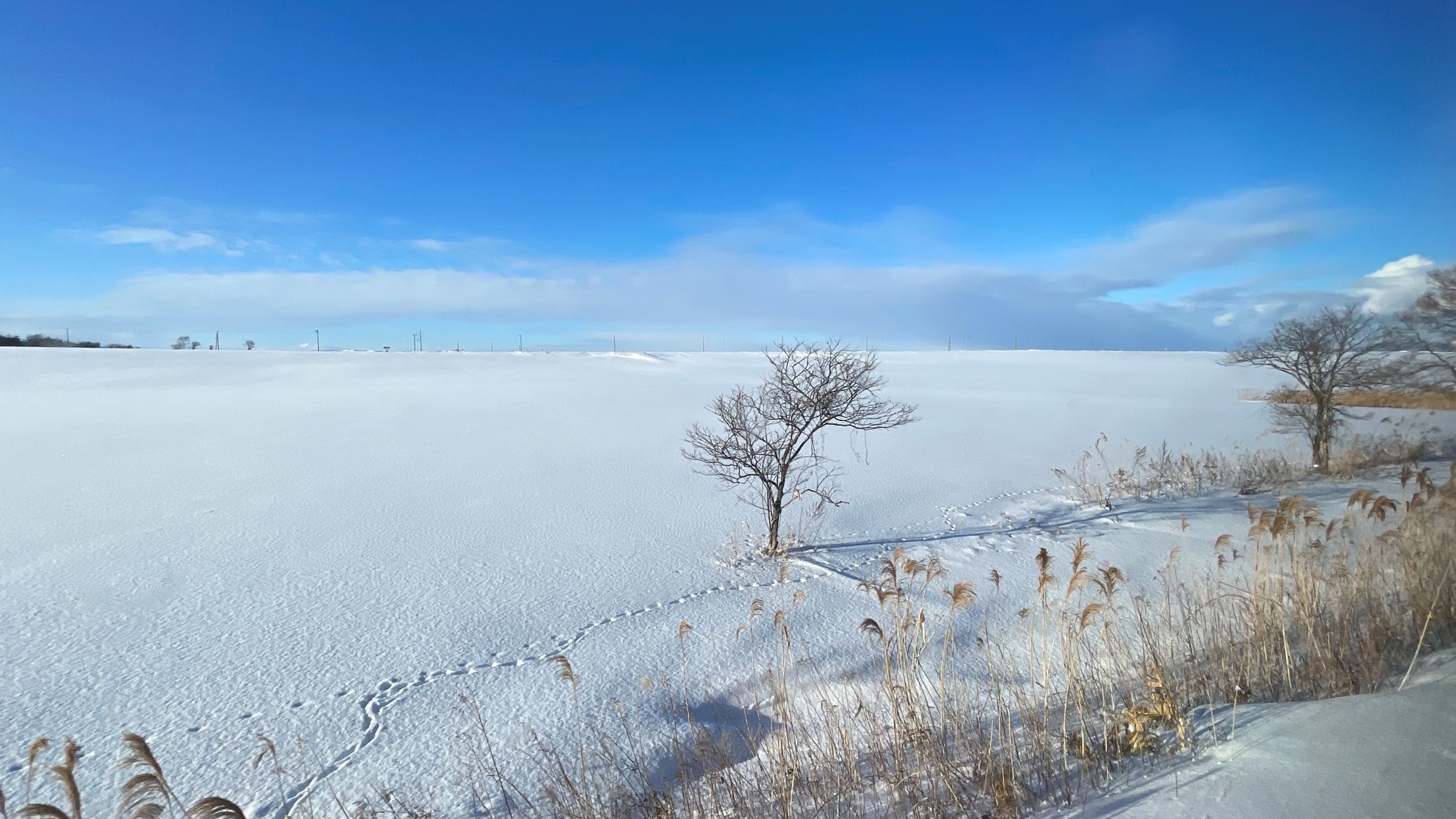 Day2：雪地上的奧特萊斯與冰雪城【Rera outlet＆星野度假村】