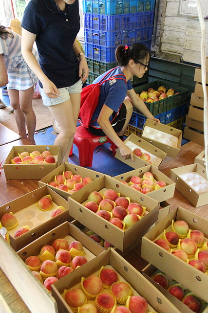 IMG_4740.JPG - 雅渡農莊