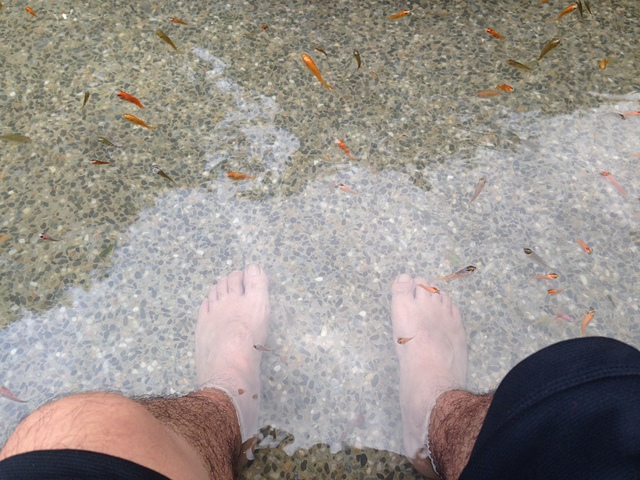 IMG_0091.JPG - 裡冷探索園區