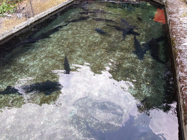 IMG_0067.JPG - 裡冷探索園區