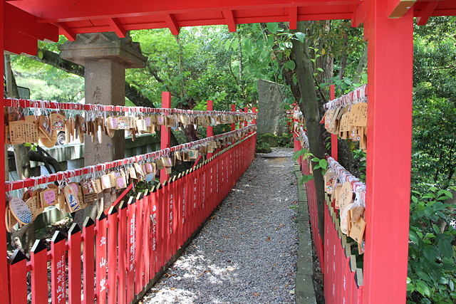 IMG_9941.JPG - 日本北陸2