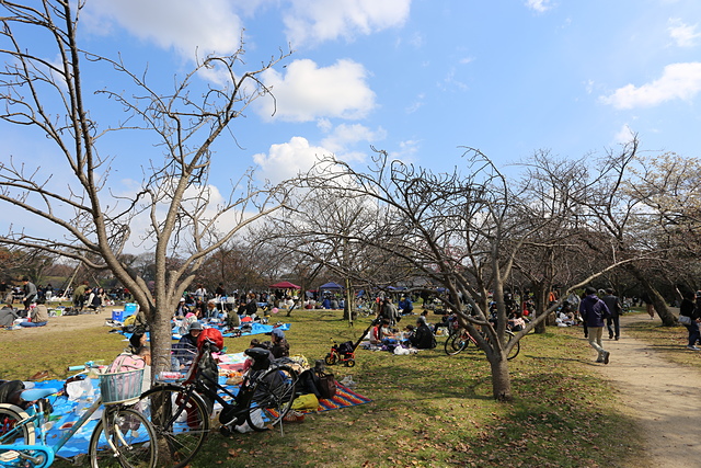 31.JPG - 日本九州DAY0