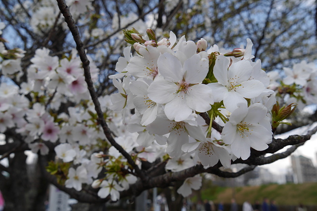 35.JPG - 日本九州DAY0