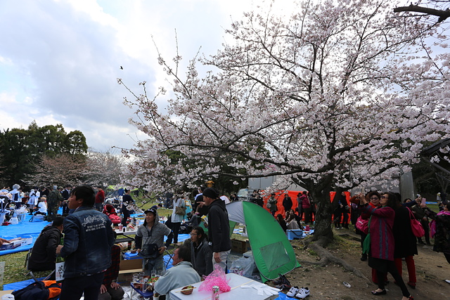 33.JPG - 日本九州DAY0