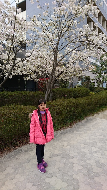 2017-04-02 17.31.57.jpg - 日本九州DAY1