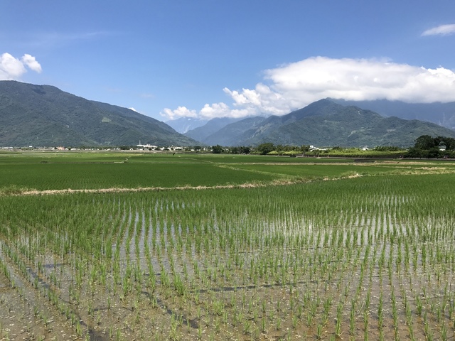 2017-08-20 10.33.13.jpg - 不老騎士團2