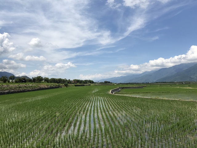 2017-08-20 10.35.03.jpg - 不老騎士團2