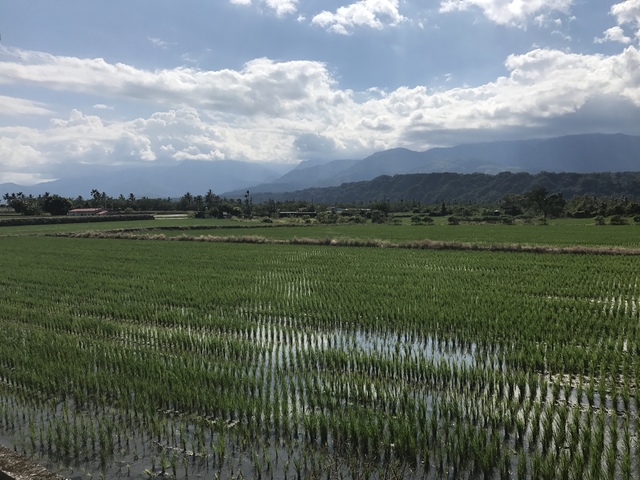 2017-08-19 14.58.29.jpg - 不老騎士團2