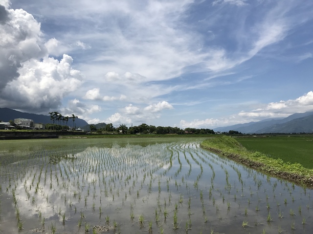 2017-08-20 10.33.32.jpg - 不老騎士團2