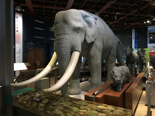 2017-08-20 15.47.03.jpg - 不老騎士團2