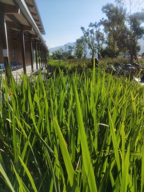 2017818-花東縱騎_170822_0120.jpg - 不老騎士團2