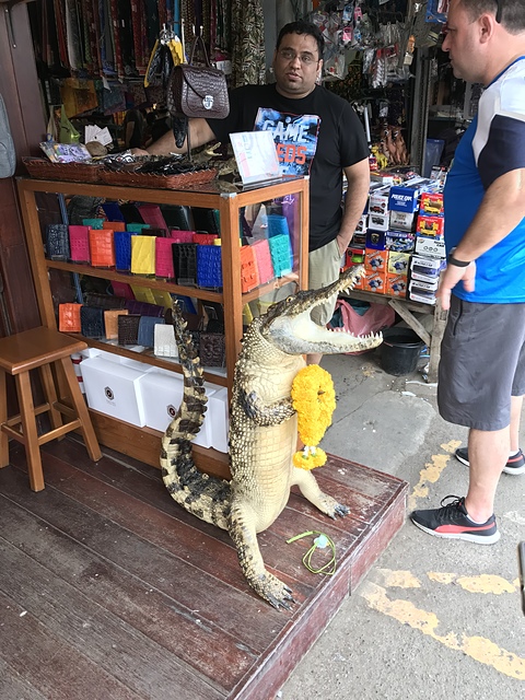 2018-02-03 14.08.45 HDR.jpg - 2018泰國DAY8