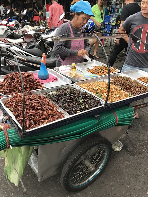 2018-02-03 14.49.06.jpg - 2018泰國DAY8