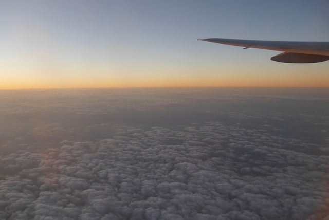 P2100801.JPG - 2018泰國DAY9