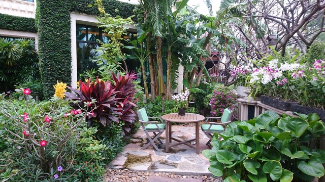 2018-02-04 07.40.39.jpg - 2018泰國DAY9