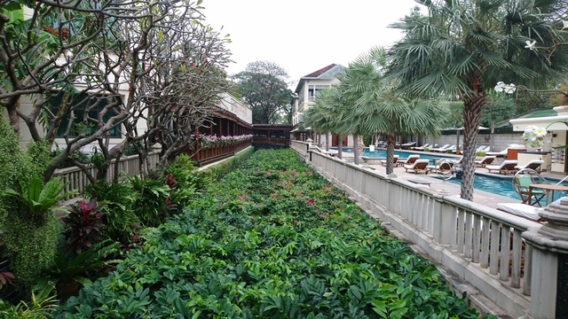 2018-02-04 07.54.38.jpg - 2018泰國DAY9