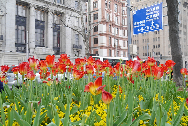 P2120709.JPG - 2018-上海DAY1