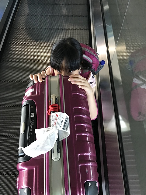 2018-04-01 14.36.43.jpg - 2018-上海DAY1