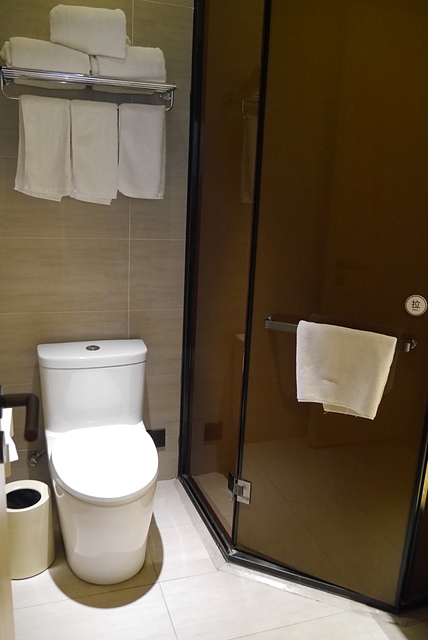 P2120691.JPG - 2018-上海DAY1