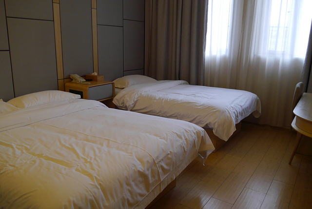 P2120694.JPG - 2018-上海DAY1