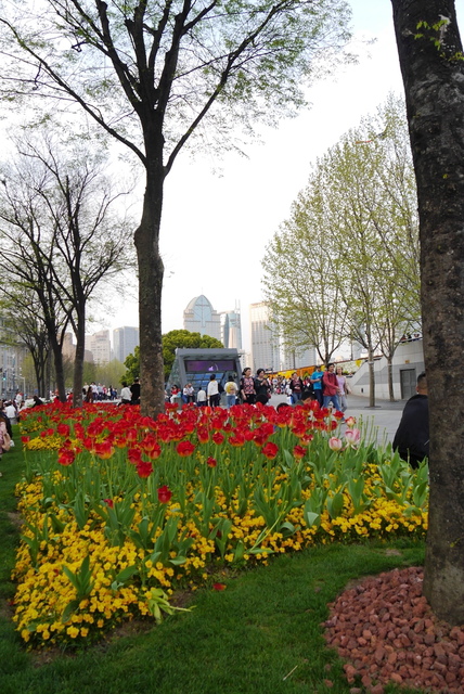 P2120704.JPG - 2018-上海DAY1