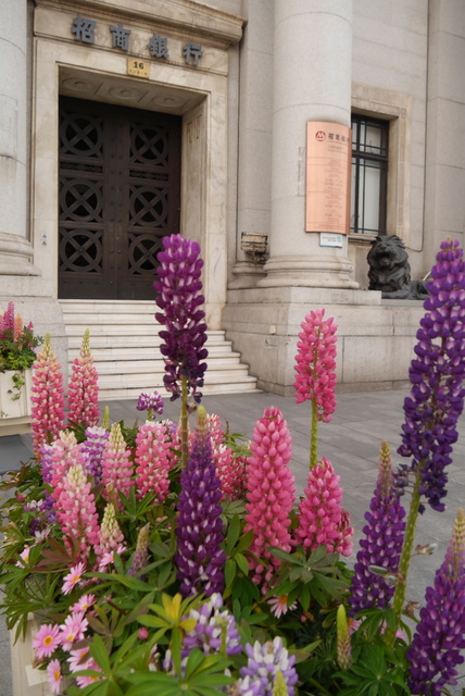 P2120703.JPG - 2018-上海DAY1