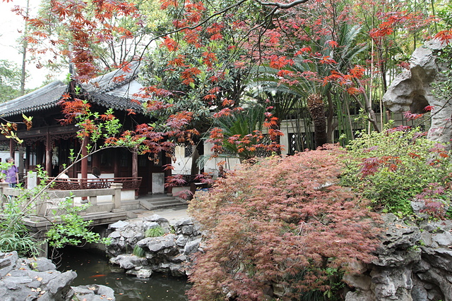 IMG_3274.jpg - 2018-上海DAY2