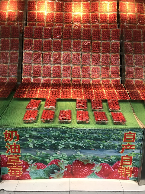 2018-04-02 15.12.43.jpg - 2018-上海DAY2