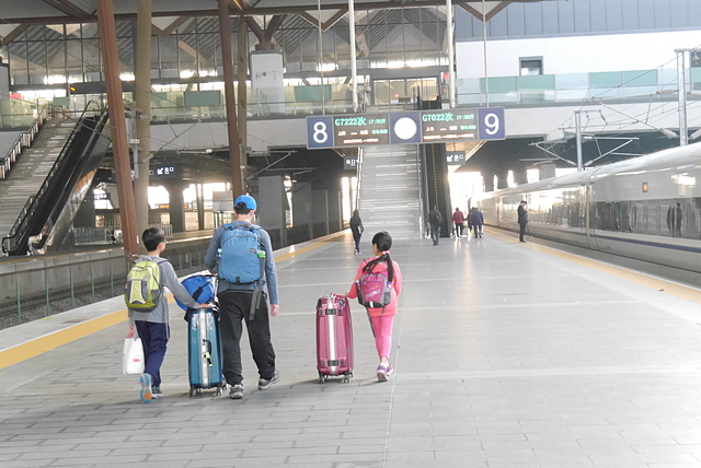 P2130172.JPG - 2018-上海DAY2