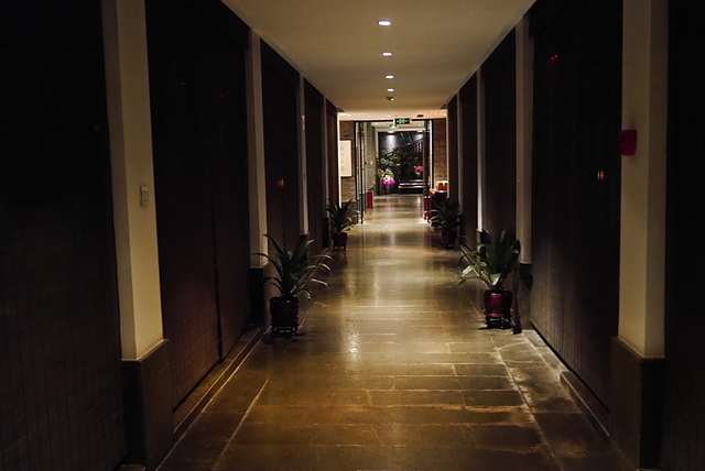 P2130231.JPG - 2018-上海DAY2