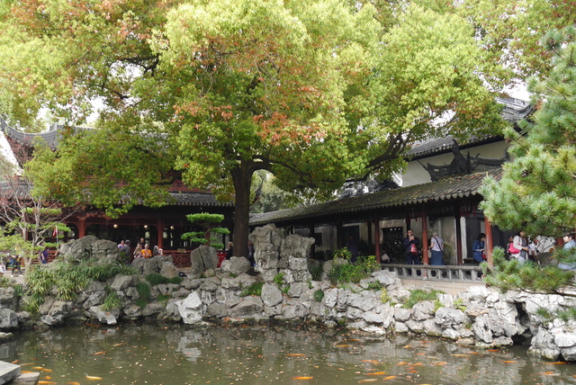 P2130075.JPG - 2018-上海DAY2