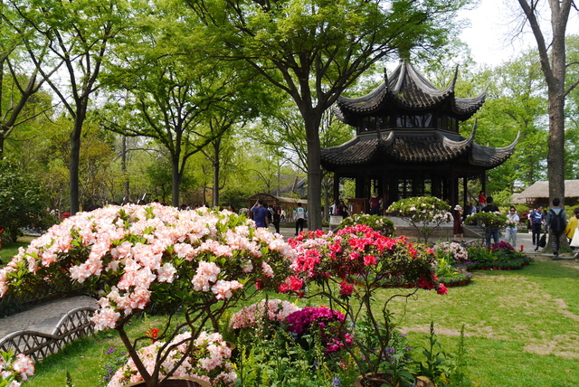 P2130438.JPG - 2018-上海DAY3