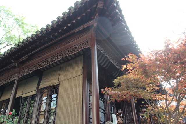 IMG_3563.JPG - 2018-上海DAY3