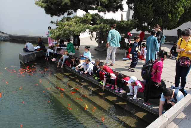 IMG_3335.JPG - 2018-上海DAY3