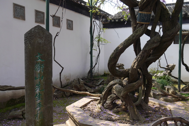 P2130399.JPG - 2018-上海DAY3