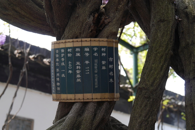 P2130405.JPG - 2018-上海DAY3