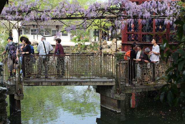 IMG_3533.JPG - 2018-上海DAY3