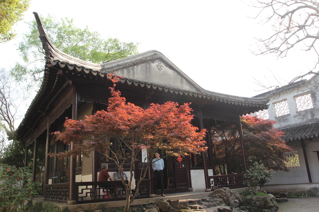 IMG_3564.JPG - 2018-上海DAY3