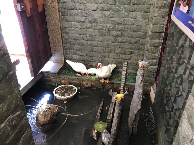 2018-04-03 09.10.33.jpg - 2018-上海DAY3