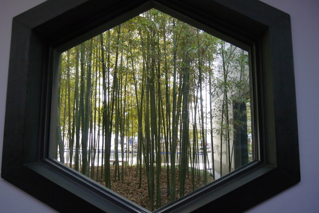 P2130332.JPG - 2018-上海DAY3