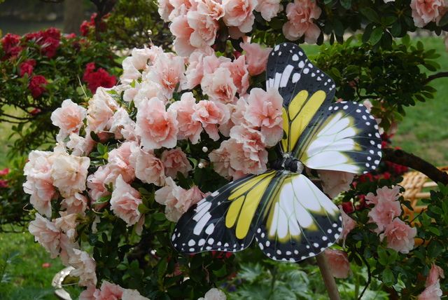 P2130565.JPG - 2018-上海DAY3