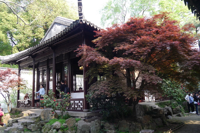 P2130548.JPG - 2018-上海DAY3