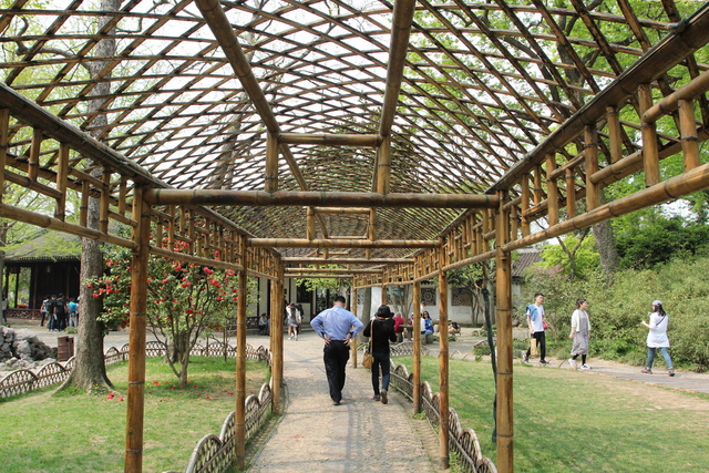 IMG_3477.JPG - 2018-上海DAY3