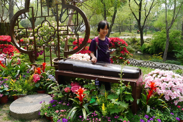 P2130445.JPG - 2018-上海DAY3