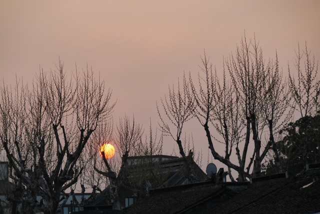 P2130596.JPG - 2018-上海DAY3