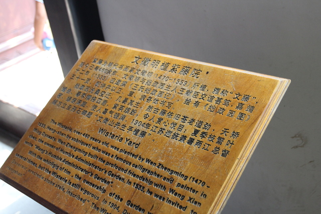 IMG_3412.JPG - 2018-上海DAY3